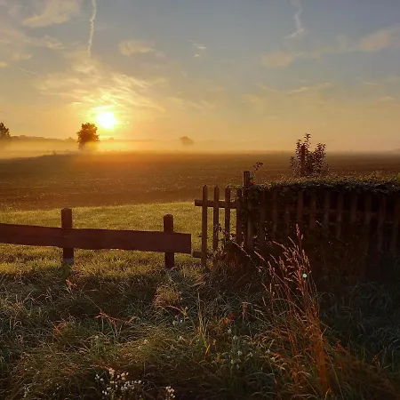 招待所 林德霍夫酒店